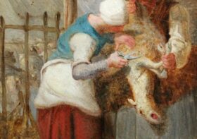 Wool Off the Lamb’s Back